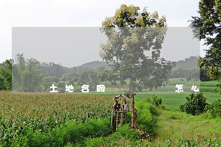 土地合同糾紛訴訟怎么寫