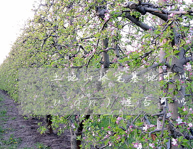 土地山林宅基地可以繼承嗎(山林承包權(quán)是否可以繼承)