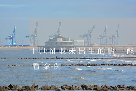 土地征收，未出生的胎兒能獲得補償款嗎？請看案例