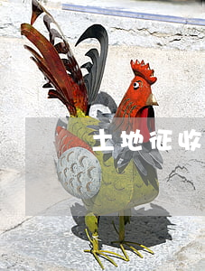 土地征收相关法律(农村土地征收)
