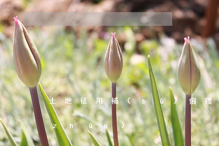 土地征用補(bǔ)償標(biāo)準(zhǔn)