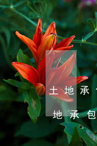 土地承包使用權(quán)可以繼承嗎(土地承包經(jīng)營權(quán)證可以繼承嗎)