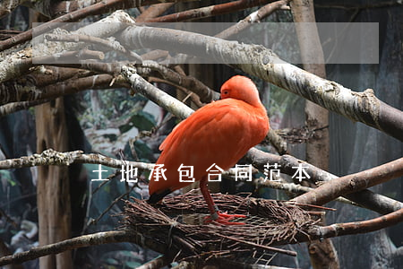 土地承包合同范本
