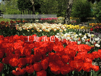 土地承包有時(shí)間限制嗎
