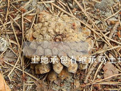 土地承包有继承吗(土地承包继承人要求)