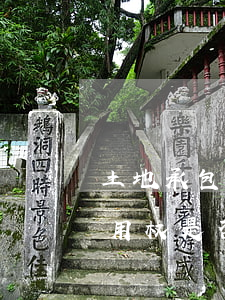 土地承包期内的经营权可以继承吗(承包地使用权是否可以继承)