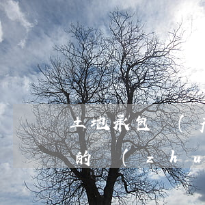 土地承包經(jīng)營權(quán)的轉(zhuǎn)讓條件