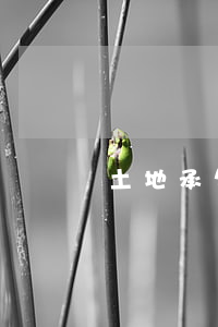 土地承包经营权流转基本原则有哪些