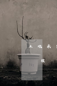 土地承包轉(zhuǎn)包合同糾紛怎么處理