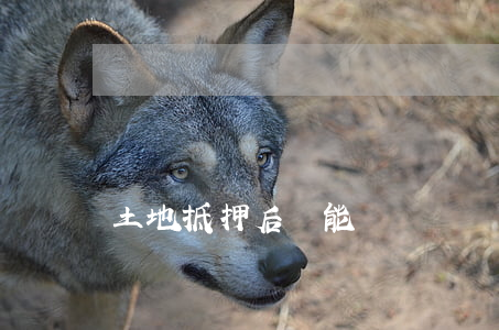 土地抵押后還能買賣嗎