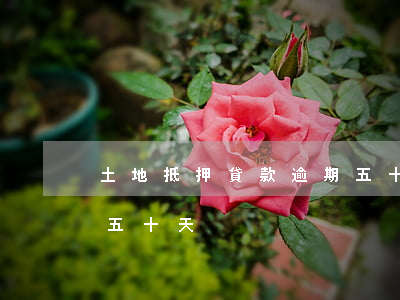 土地抵押貸款逾期五十天(土地抵押貸款逾期五十天)