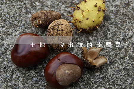 土地掛牌出讓的步驟是怎樣的