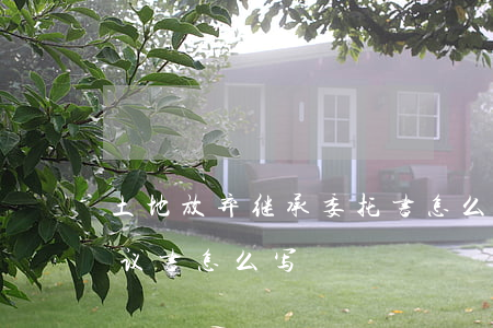土地放弃继承委托书怎么写(放弃土地继承协议书怎么写)