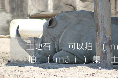 土地有訴訟可以拍賣(mài)嗎(法院可以拍賣(mài)集體土地上的房子嗎?)