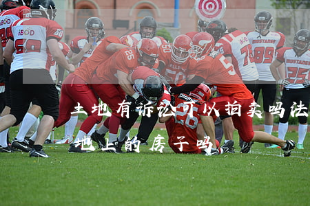 土地有诉讼可以拍卖吗(法院可以拍卖集体土地上的房子吗?)