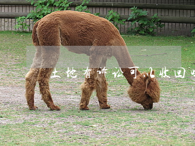 土地有诉讼可以收回吗(土地国家会收回吗)