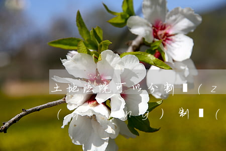 土地法院可以分割執(zhí)行嗎(法院強(qiáng)制執(zhí)行土地可以分割嗎)