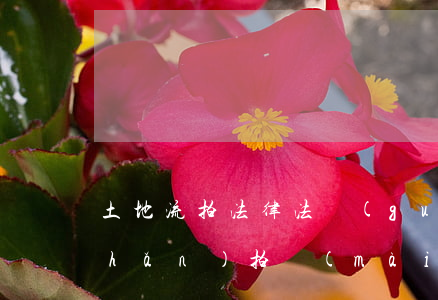 土地流拍法律法規(guī)(房地產(chǎn)拍賣(mài)的相關(guān)法律規(guī)定有哪些)