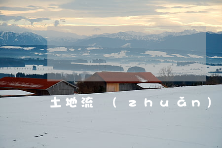 土地流轉(zhuǎn)協(xié)議