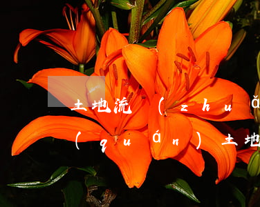 土地流轉(zhuǎn)合同糾紛如何維權(quán)(土地流轉(zhuǎn)合同糾紛訴狀)