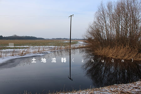 土地流轉(zhuǎn)合同糾紛如何舉證