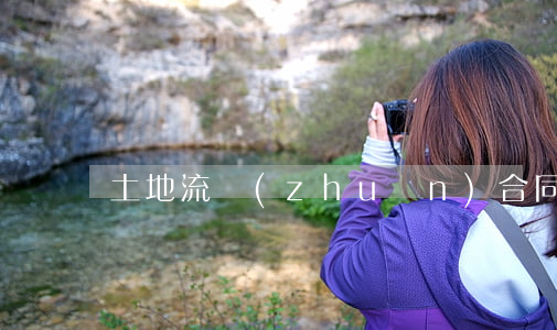 土地流轉(zhuǎn)合同糾紛怎么起訴