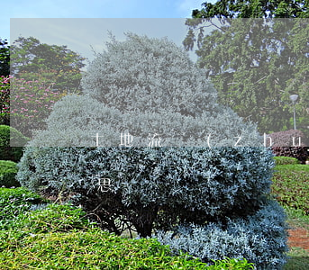 土地流轉(zhuǎn)合同糾紛是什么意思