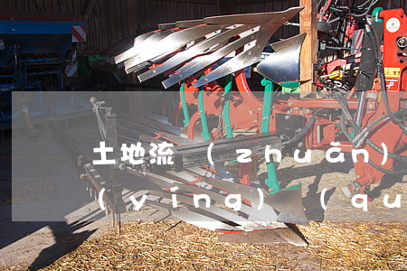 土地流轉(zhuǎn)經(jīng)營(yíng)權(quán)法院可以拍賣(mài)嗎(法院能否拍賣(mài)集體土地使用權(quán))