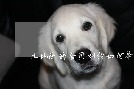 土地流转合同纠纷如何举证