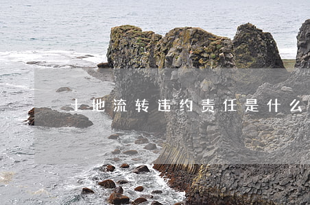 土地流转违约责任是什么