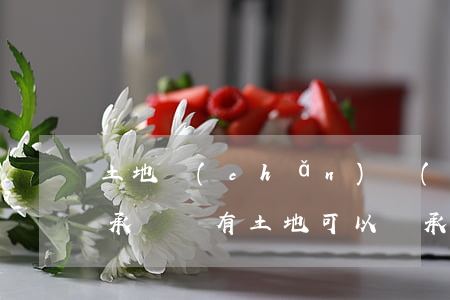 土地產(chǎn)權(quán)可以繼承嗎(國有土地可以繼承嗎)