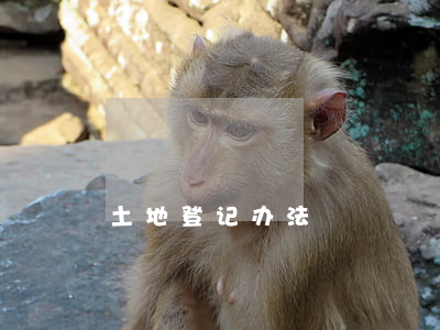 土地登记办法 土地登记办法