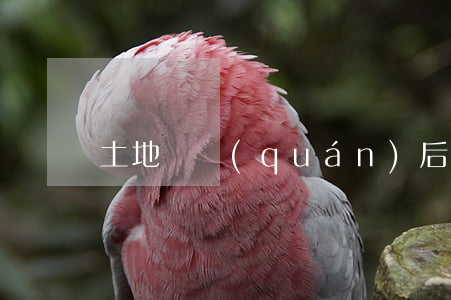 土地確權(quán)后還能更改嗎