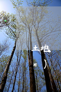 土地確權(quán)繼承算遺產(chǎn)嗎(土地確權(quán)證子女可以繼承嗎)
