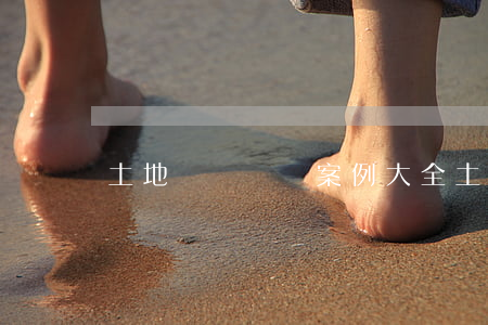 土地確權糾紛案例大全(土地確權訴訟案例)