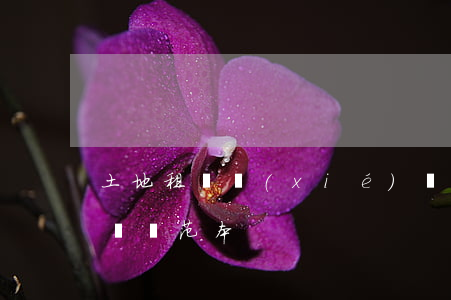 土地租賃協(xié)議(租賃協(xié)議書范本)