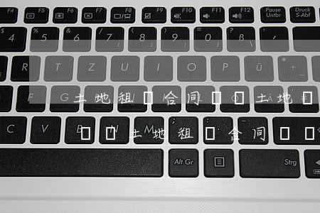 土地租賃合同糾紛土地轉(zhuǎn)租糾紛(土地租賃合同糾紛土地轉(zhuǎn)租糾紛)