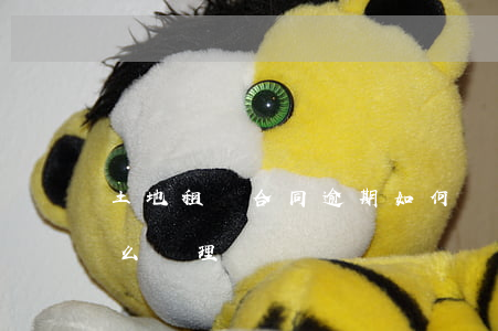 土地租賃合同逾期如何處理(租賃土地到期怎么處理)