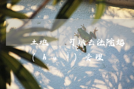 土地糾紛可以去法院起訴嗎(土地糾紛法院會(huì)受理嗎)