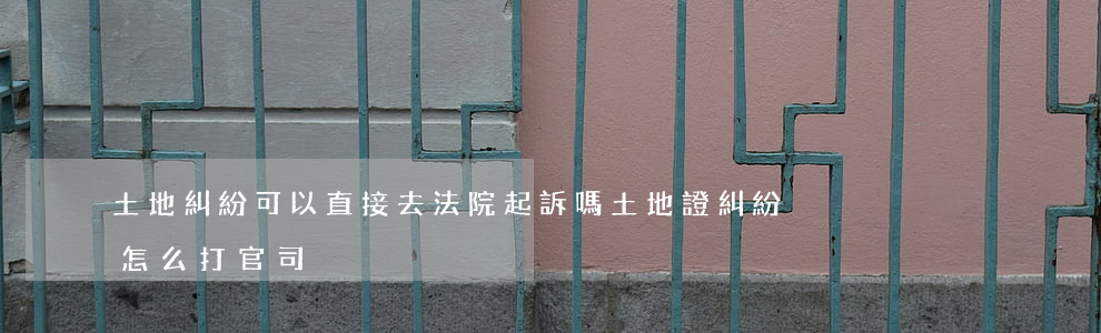 土地糾紛可以直接去法院起訴嗎(土地證糾紛怎么打官司)
