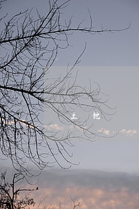 土地糾紛怎么處理(土地糾紛怎么處理)