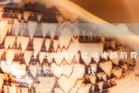 土地糾紛打官司律師的費用是多少(打土地官司需要多少錢)