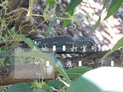 土地糾紛打官司請(qǐng)律師需要多少錢(我想問一下關(guān)于土地糾紛的律師費(fèi)用)