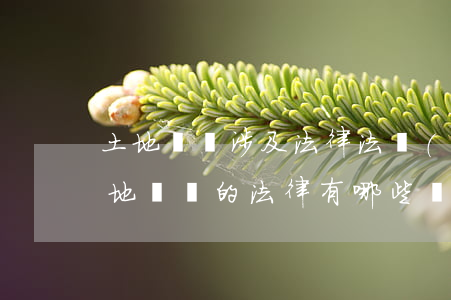 土地糾紛涉及法律法規(guī)(有關土地糾紛的法律有哪些規(guī)定)