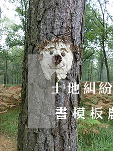 土地糾紛調(diào)解協(xié)議書模板(農(nóng)村土地糾紛調(diào)解協(xié)議書)