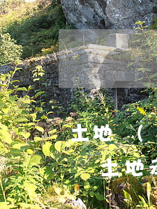 土地經(jīng)營權(quán)繼承嗎(土地承包經(jīng)營權(quán)可以作為遺產(chǎn)繼承嗎)
