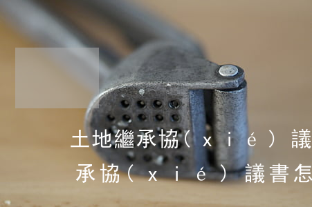 土地繼承協(xié)議怎么寫有效(土地繼承協(xié)議書怎么寫)