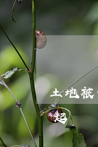土地被侵占打官司要多少錢(被占的土地怎么起訴)