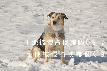 土地被侵占找哪個(gè)部門(mén)(土地被侵占找哪個(gè)部門(mén)電話(huà))