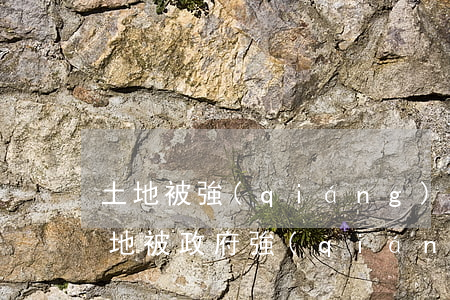 土地被強(qiáng)行占用怎么辦呢(土地被政府強(qiáng)占怎么辦)